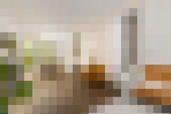 Soendastraat 8 1 Amsterdam thumbnail 7