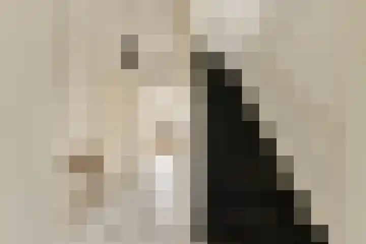 Soerlaan 15 Amstelveen thumbnail 4