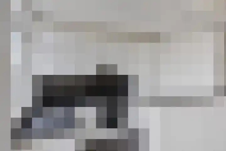 Soestdijksekade 433 Den Haag thumbnail 10