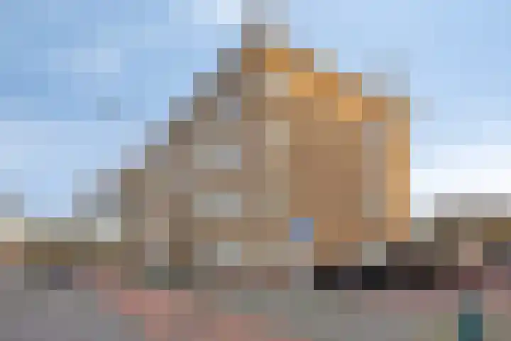 Soestdijksekade 433 Den Haag thumbnail 4