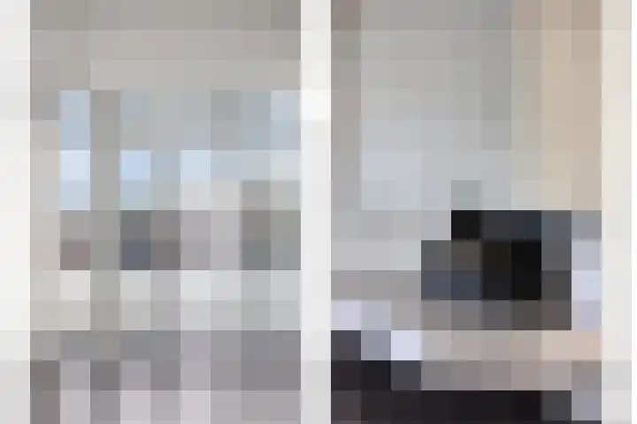 Soestdijksekade 433 Den Haag thumbnail 8