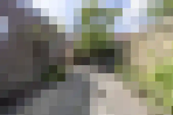 Soetemanstraat 8 Beverwijk thumbnail 13