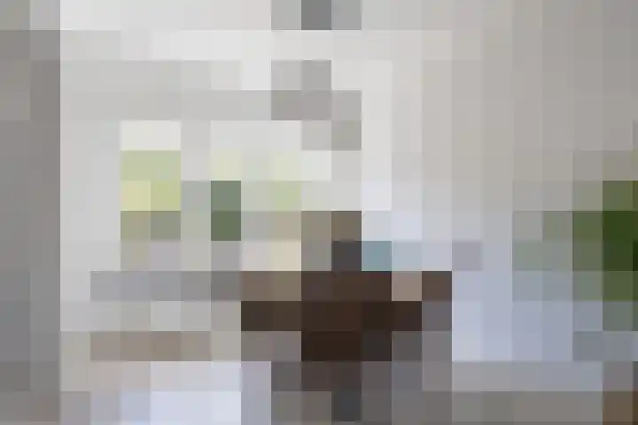 Soetemanstraat 8 Beverwijk thumbnail 7