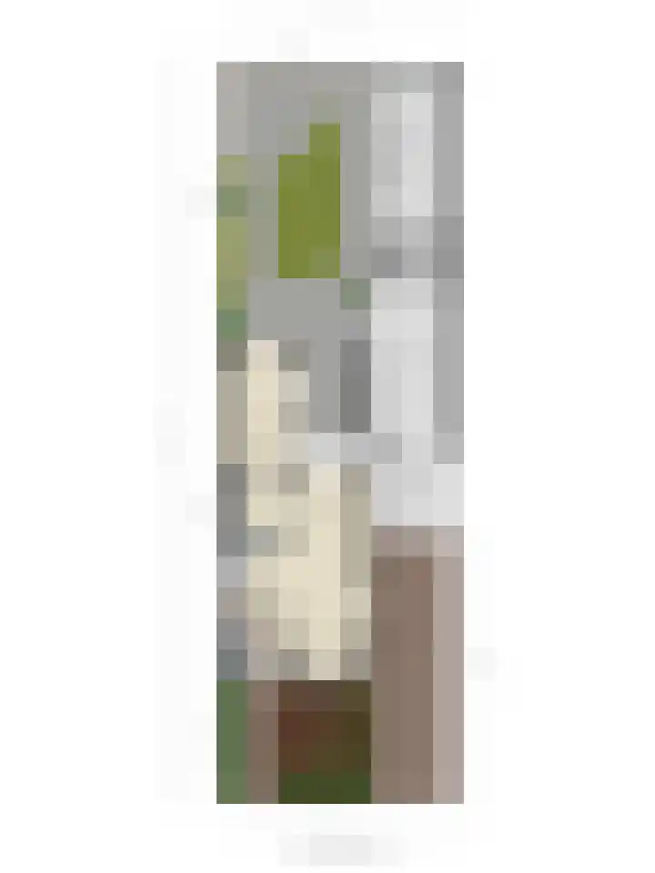 Soeterstraat 25 Reek thumbnail 51