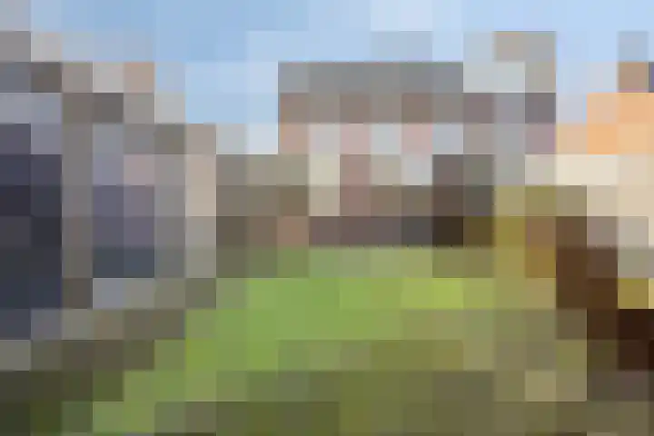 Soeterstraat 25 Reek thumbnail 6
