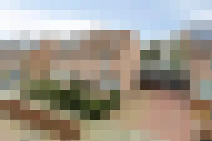 Soeterstraat 25 Reek thumbnail 8