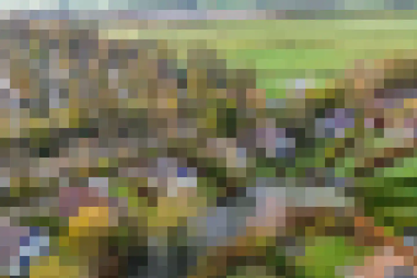 Solcamastraat 30 5 Sumar thumbnail 33