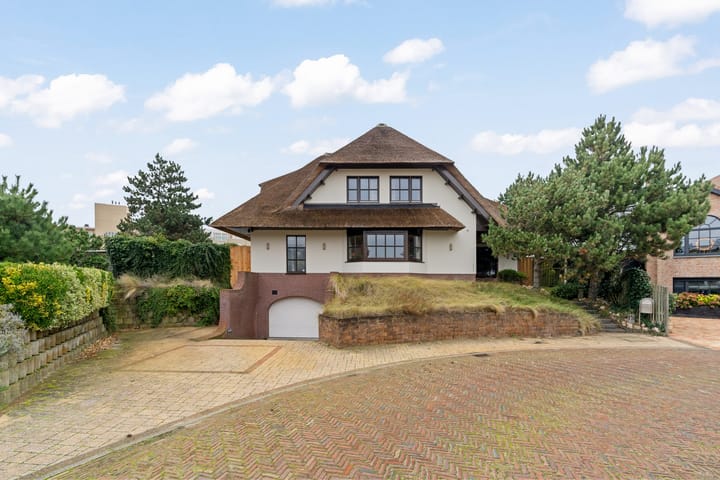 Sole Miopark 3 in Noordwijk foto