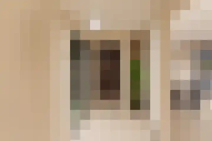 Sole Miopark 3 Noordwijk thumbnail 37