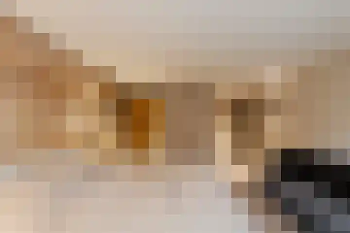 Sole Miopark 3 Noordwijk thumbnail 40