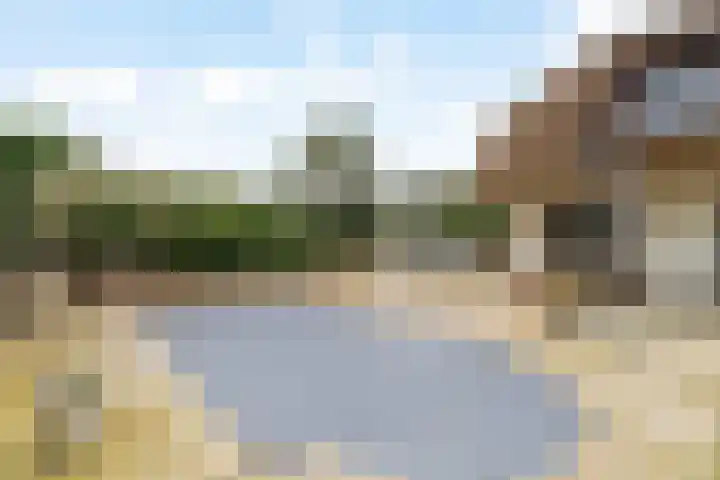 Sole Miopark 3 Noordwijk thumbnail 47