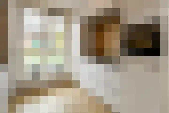 Solidus 74 Elst thumbnail 15
