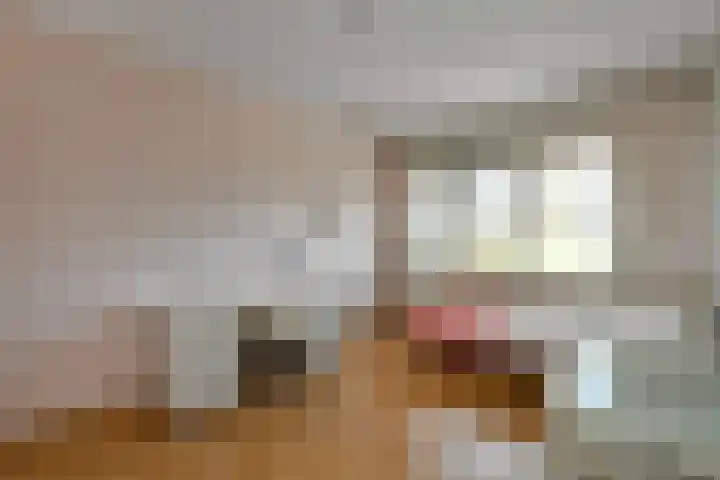 Solidus 74 Elst thumbnail 23