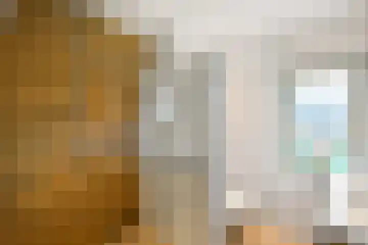 Solidus 74 Elst thumbnail 28