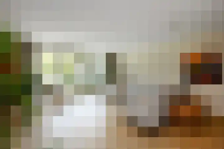 Solidus 74 Elst thumbnail 4