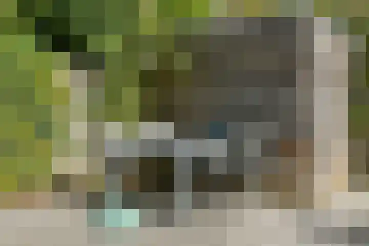Solidus 74 Elst thumbnail 44