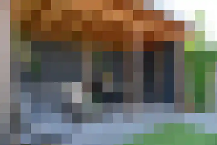 Soling 45 Vinkeveen thumbnail 31