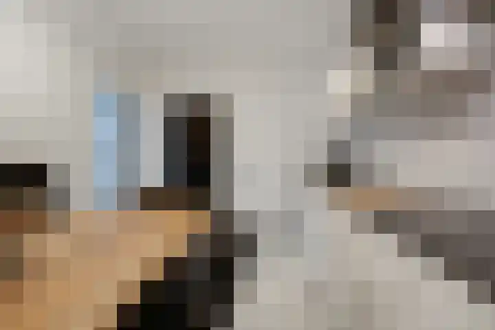 Solostraat 1 Arnhem thumbnail 15