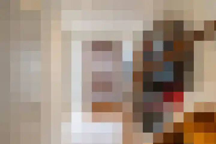 Soltstede 16 Vries thumbnail 12