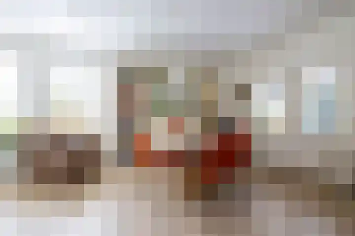 Soltstede 16 Vries thumbnail 14