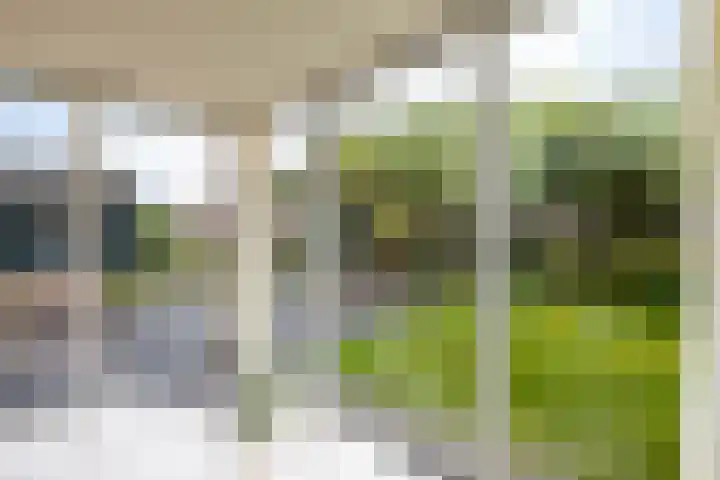 Soltstede 16 Vries thumbnail 21
