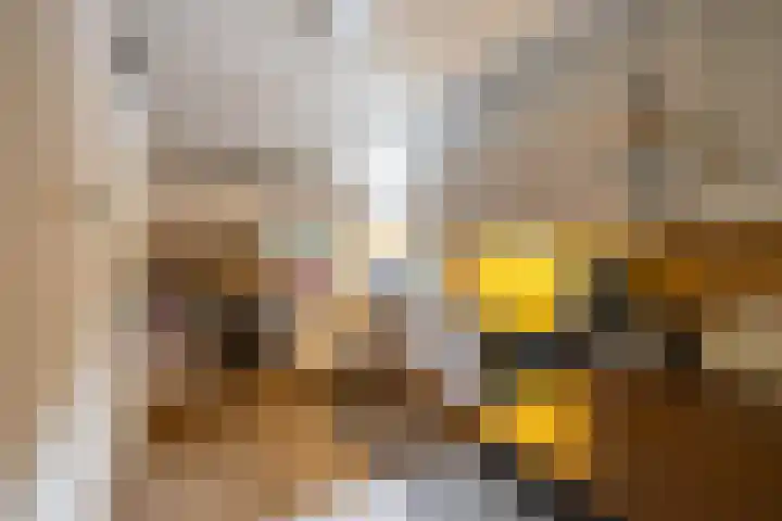 Soltstede 16 Vries thumbnail 24