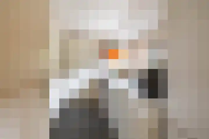 Soltstede 16 Vries thumbnail 26