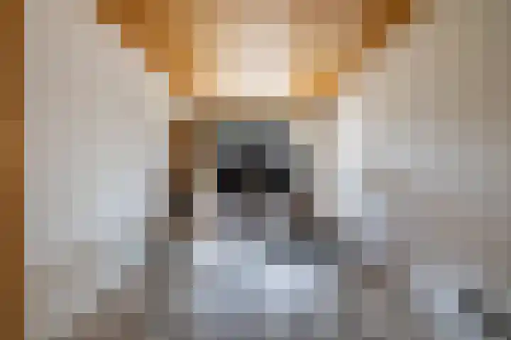 Soltstede 16 Vries thumbnail 27