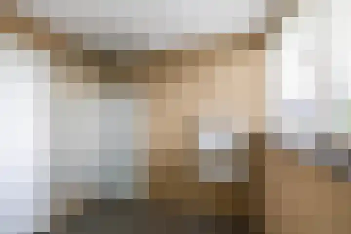 Soltstede 16 Vries thumbnail 30