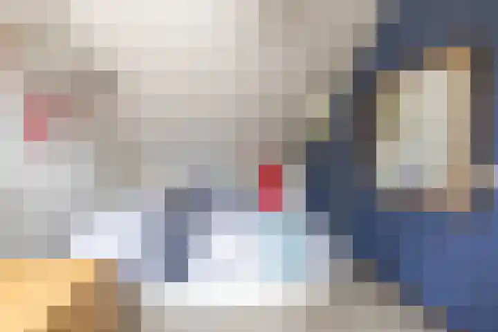 Soltstede 16 Vries thumbnail 35