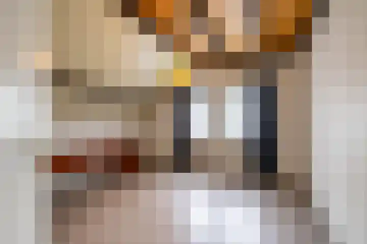Soltstede 16 Vries thumbnail 37