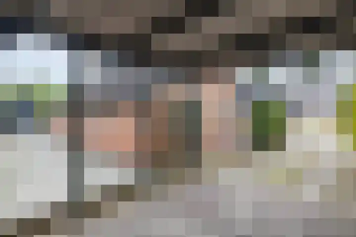 Soltstede 16 Vries thumbnail 43