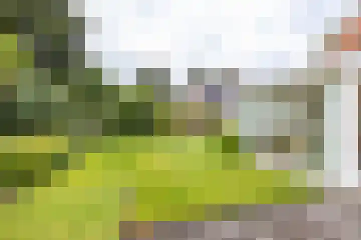 Soltstede 16 Vries thumbnail 49