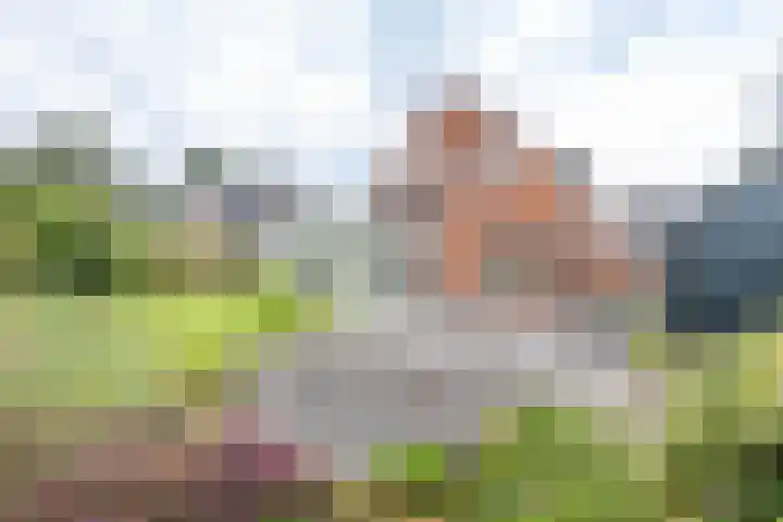 Soltstede 16 Vries thumbnail 50