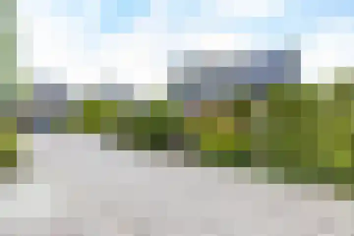 Soltstede 16 Vries thumbnail 6