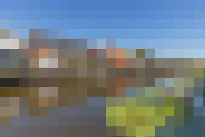 Solwerderstraat 76 Appingedam thumbnail 10