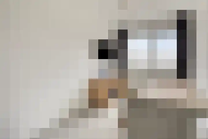 Solwerderstraat 89 Appingedam