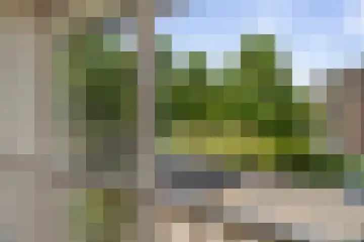 Somervaart 93 Deventer thumbnail 22
