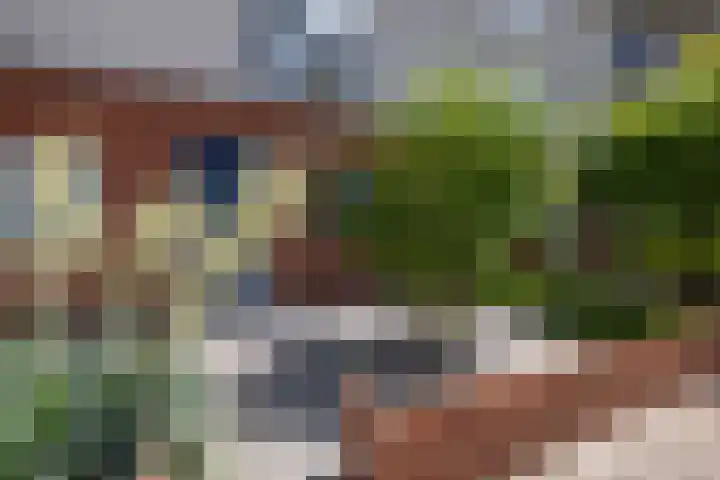 Somervaart 93 Deventer thumbnail 33