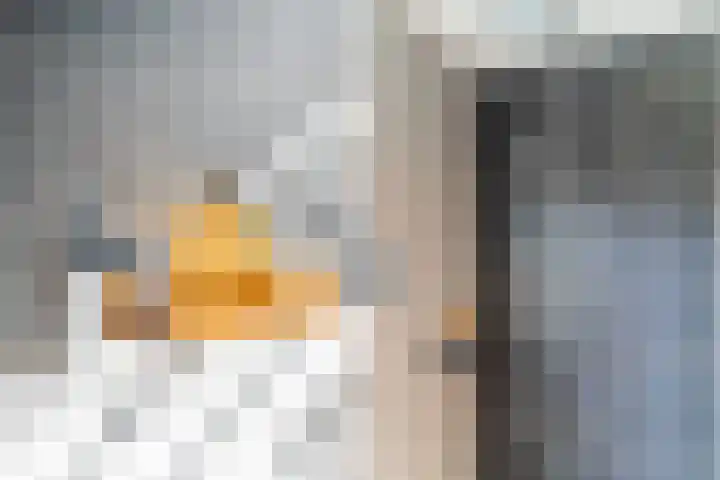 Sommerscamp 2 Asten thumbnail 43