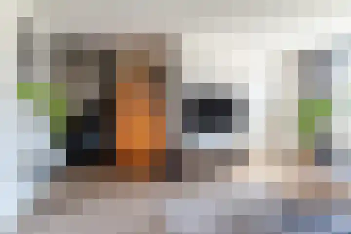 Sommerscamp 2 Asten thumbnail 7