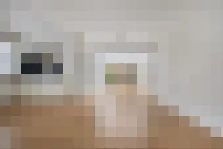 Sommerscamp 32 Asten thumbnail 10