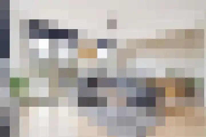 Sonate 12 Oss thumbnail 11