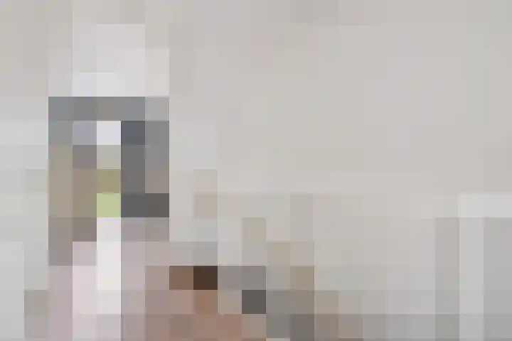 Sonate 12 Oss thumbnail 18