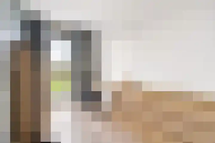 Sonate 12 Oss thumbnail 19