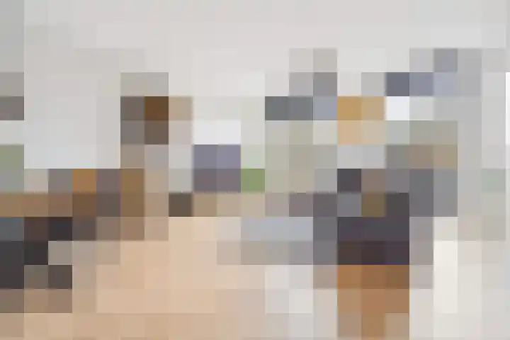 Sonate 12 Oss foto 2