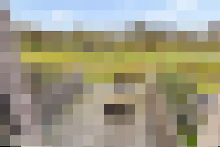 Sonate 12 Oss thumbnail 28