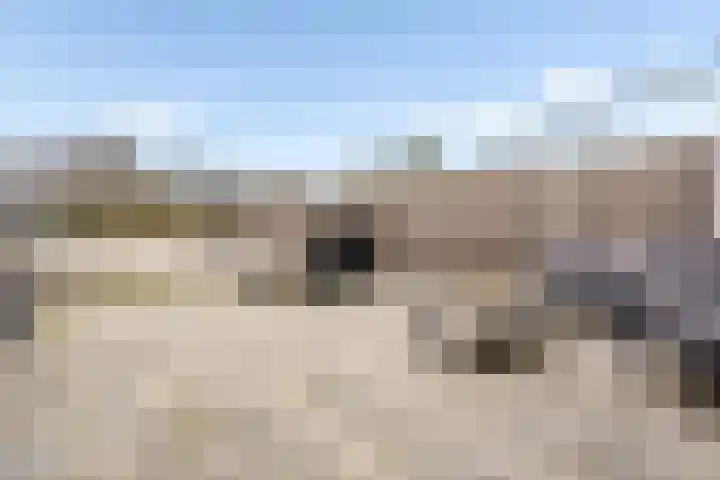 Sonate 12 Oss thumbnail 29