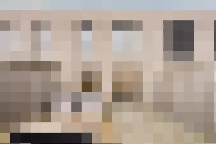 Sonate 12 Oss thumbnail 30