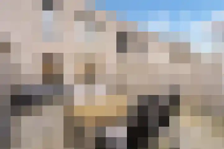 Sonate 12 Oss thumbnail 33